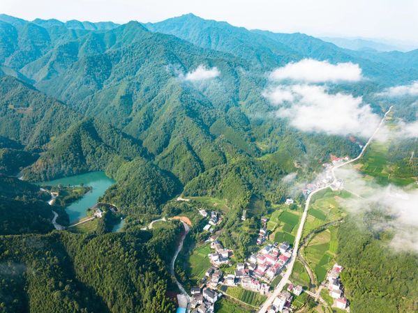 平里镇:学党史办实事 开创乡村振兴新气象_祁门县人民政府