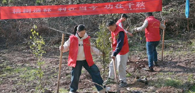 补植复绿 修复生态
