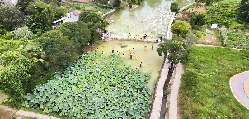 乡村游“热”力十足 沉浸式体验引客来